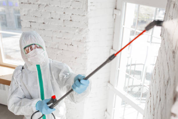  Galax, VA Mold Removal Pros